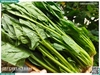 Cải bó xôi 300g