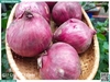 Hành Tây tím