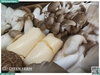 Combo nấm mix đậu hũ trứng
