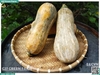 Bí đỏ hồ lô