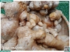 Gừng Trâu