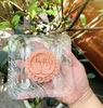 Bánh trung thu dập khuôn logo công ty