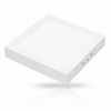 Đèn LED ốp nổi vuông
