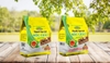 THANH GẠO LỨT NGŨ CỐC  WINWIN MỘC CHÂU