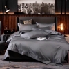 Bộ chăn ga gối đệm Hàn Quốc Tencel loại 1