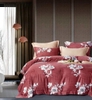 Bộ chăn ga gối đệm Hàn Quốc Tencel loại 2