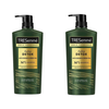 TRESemmé Ginger and Green Tea Extract Shampoo 640GR/ 850GR