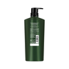TRESemmé Ginger and Green Tea Extract Shampoo 640GR/ 850GR