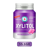 Lotte Xylitol Sugar Free Gum Blueberry Mint Flavor 11.6G/ 55.1G/ 130.5G/ 159.5G