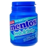 Sing Gum Mentos Fresh Action Jar 56g
