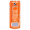 Fanta Orange Flavor 320ml