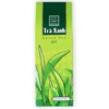 Phuc Long Green Tea Paper 150g