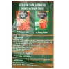 NesCafé 3IN1 Strong Coffee Flavor Milk Coffee 782gr
