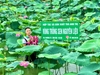 Trà Ướp Gạo Sen- Tinh Hoa Đất Trời