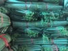 Bao tải dứa màu xanh