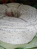 https://baoholaodongducthang.com/day-thung-trang-pp-phi-4-30