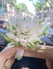 Linh lan