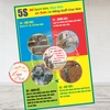 Tem Decal Dán QUY TRÌNH 5S - ĐỂ SẠCH HƠN, ĐẸP HƠN, AN TOÀN & NĂNG SUẤT CAO HƠN - Decal chống nước, chống phai