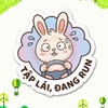 Tem Decal Dán Ô TÔ - TẬP LÁI, ĐANG RUN - Decal hình thỏ con tập lái funny - Decal có keo sẵn, chống nước, chống phai