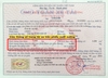 Tem DECAL Logo Tải Trọng Xe THEO YÊU CẦU,Tem Dán Trọng Tải Xe Cho Ô Tô Tải, Xe Tải, Xe Ben, Xe Khách, Dịch Vụ Chống Nước