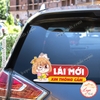 M1- Tem Decal Dán Lái Mới Xin Thông Cảm, Tem Logo Sticker Lái Mới, Decal Tập Lái,Tài Nữ Lái Mới Xin Thông Cảm,Chống Nước