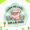 Tem Decal Dán Ô TÔ - CHẬM MÀ CHẮC, EM LÁI MỚI - Decal hình heo con tập lái funny - Decal có keo, chống nước, chống phai