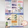 Decal Dán Hướng Dẫn Một Số Bước Sơ Cấp Cứu Ban Đầu Cho Các Tai Nạn Thường Gặp,Tranh Y Tế Chất Liệu Decan Dán Tường,Kính