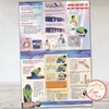 Decal Dán Hướng Dẫn Một Số Bước Sơ Cấp Cứu Ban Đầu Cho Các Tai Nạn Thường Gặp,Tranh Y Tế Chất Liệu Decan Dán Tường,Kính