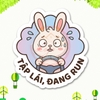 Tem Decal Dán Ô TÔ - TẬP LÁI, ĐANG RUN - Decal hình thỏ con tập lái funny - Decal có keo sẵn, chống nước, chống phai