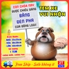 Tem Decal Dán Xe Vui Nhộn Nhắc Nhở Không Bật Đèn Pha Khi Tham Gia Giao Thông, Hình CHÚ CHÓ Cầm Bảng, Tem Xe Đáng Yêu