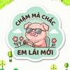 Tem Decal Dán Ô TÔ - CHẬM MÀ CHẮC, EM LÁI MỚI - Decal hình heo con tập lái funny - Decal có keo, chống nước, chống phai