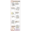 Decal Dán Bảng Phác Đồ Sơ Cấp Cứu Áp Dụng Cho Một Số Tai Nạn Thường Gặp,Decan Chống Nước Dán Kính Dán Tường, Tranh Y Tế