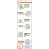 Tem Decal Các Biện Pháp Phòng Tránh Thai Hiệu Quả, Kiến Thức Thông Tin Sức Khỏe Sinh Sản, Tranh Y Tế, Có Keo Dán Sẵn