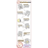 Tem Decal Dán Nhắc Nhở Vui Lòng Không Xả Rác Vứt Giấy Rác Xuống Bồn Cầu, Lavabo,Decal Trang Trí Nhà Vệ Sinh WC