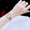 Đồng hồ nữ chính hãng Roberto Era RE2906 màu demi vàng hồng mặt hồng viền đá size 28mm