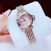 Đồng hồ nữ chính hãng Roberto Era RE2024 dây kim loại demi rose mặt xà cừ hồng size 30mm