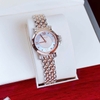 Đồng hồ nữ chính hãng Roberto Era RE2024 dây kim loại demi rose mặt xà cừ hồng size 30mm
