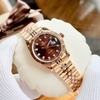 Đồng Hồ Nữ Carnival 8131L-VH-N Dây Thép Vàng Hồng Mặt Nâu Size 30mm Quartz Japan