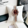 Đồng Hồ Nữ Carnival 8131L-CH-N Demi Vàng Hồng Mặt Nâu Size 30mm Quartz Japan