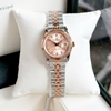 Đồng Hồ Nữ Carnival 8131L-CH-NN Demi Vàng Hồng Mặt Vàng Hồng Size 30mm Quartz Japan