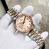 Đồng Hồ Nam Carnival 8239G-CH-NN Automatic Demi Vàng Hồng Size 38mm Chính Hãng