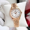 Đồng Hồ Nam Carnival 8250G-VH-TK Automatic Dây Thép Vàng Hồng Mặt Xà Cừ Trắng Size 38mm