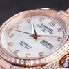 Đồng Hồ Nam Carnival 8907G Tự Động Mặt Trắng Xà Cừ Đính Đá Vỏ Vàng Hồng 40mm