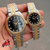 Đồng Hồ Nữ Carnival 8131L-CV-D Demi Vàng Mặt Đen Size 30mm Quartz Japan
