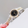 Đồng Hồ Nữ Carnival 8131L-CV-D Demi Vàng Mặt Đen Size 30mm Quartz Japan