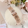 Đồng Hồ Nữ Carnival 8131L-VH-XT Dây Thép Vàng Hồng Mặt Xanh Pastel Size 30mm Quartz Japan
