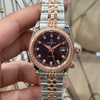Đồng Hồ Nữ Carnival 8131L2-CH-D Dây Demi Vàng Hồng Mặt Đen Viền Đính Đá Size 31mm Quartz Japan