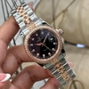 Đồng Hồ Nữ Carnival 8131L2-CH-D Dây Demi Vàng Hồng Mặt Đen Viền Đính Đá Size 31mm Quartz Japan