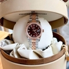 Đồng Hồ Nữ Carnival 8131L2-CH-N Dây Demi Vàng Hồng Mặt Nâu Chocolate Viền Đính Đá Size 31mm Quartz Japan
