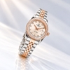 Đồng Hồ Nữ Carnival 8131L2-CH-NN Dây Demi Vàng Hồng Viền Đính Đá Size 31mm Quartz Japan